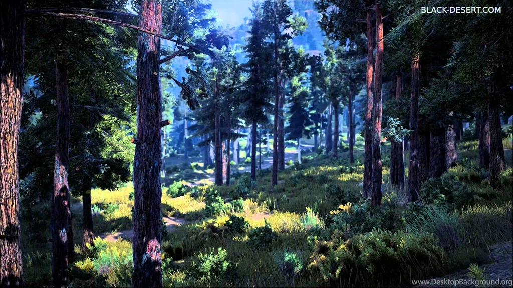 Black Desert Environment Tour   YouTube