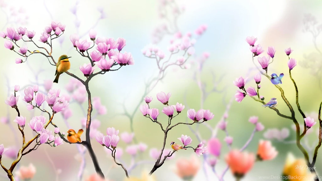 Colorful Birds In Tulip Tree >> HD Wallpaper, Get It Now!