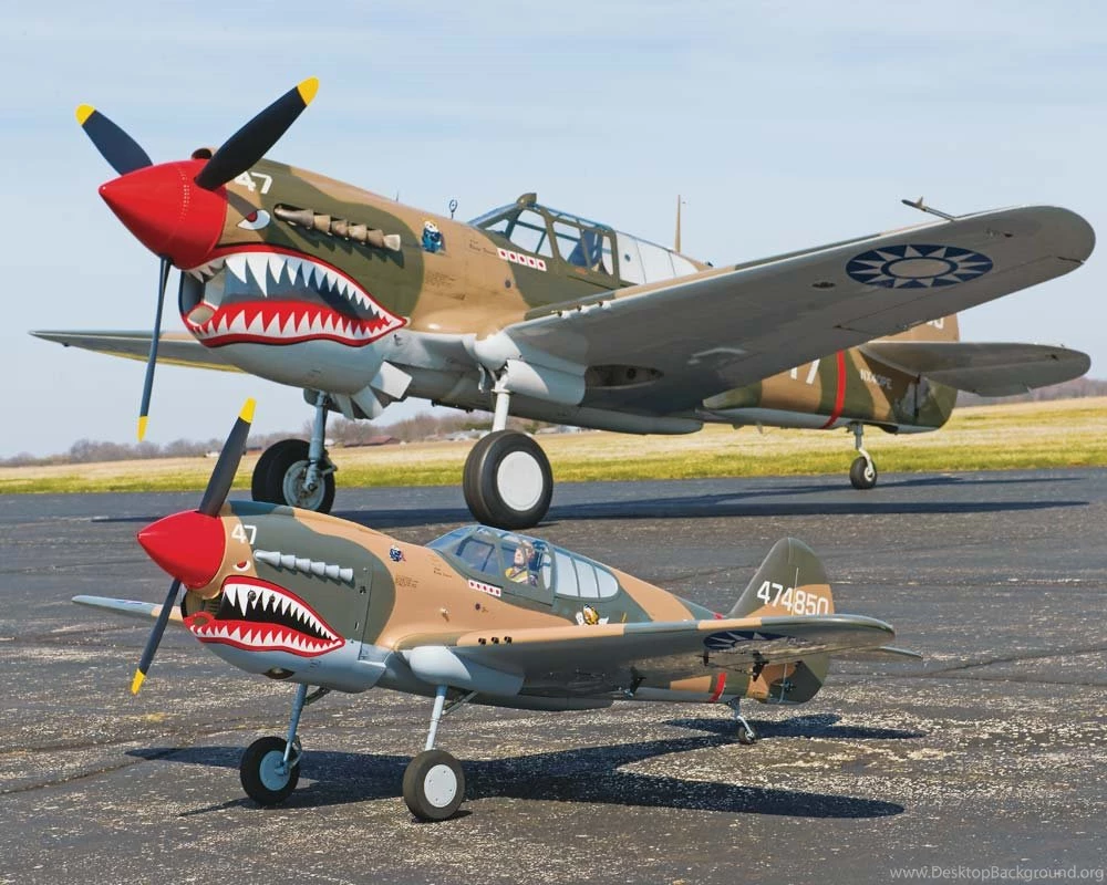 Top Flite P 40 Warhawk Almost Ready to Fly Giant Scale Model