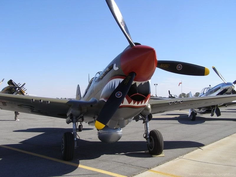 P40warhawk DeviantArt