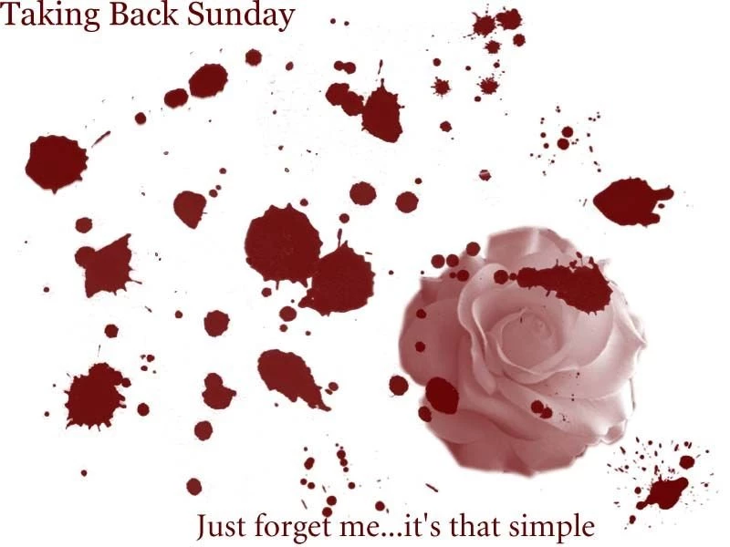 Taking Back Sunday Wallpapers FunnyDAM Funny Images, Pictures ...