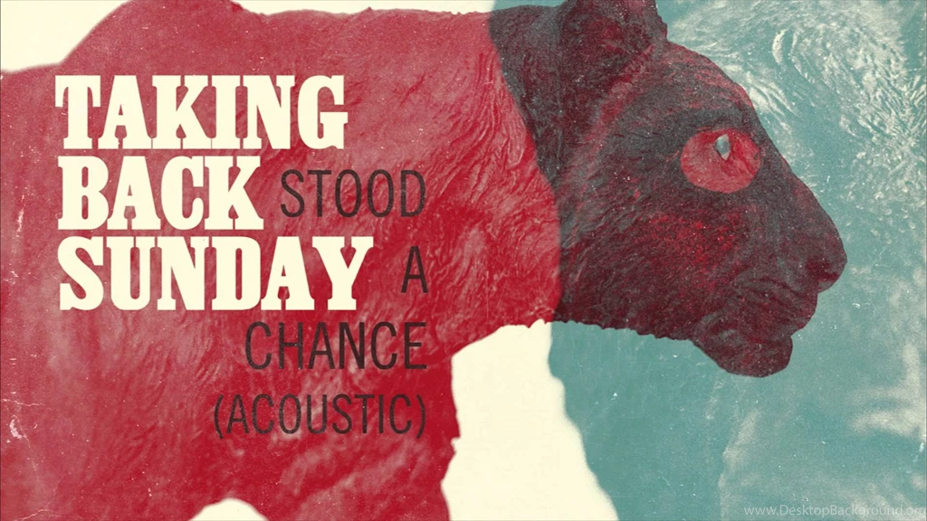 Taking Back Sunday   Stood A Chance (Acoustic)   YouTube