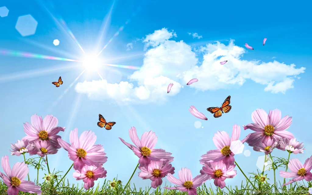 Pink Flowers With Butterflies Wallpapers For Desktop, Laptop And Tablet