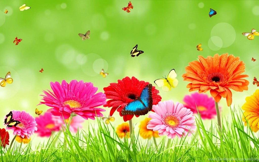 1440x900px Butterflies And Flowers Wallpapers