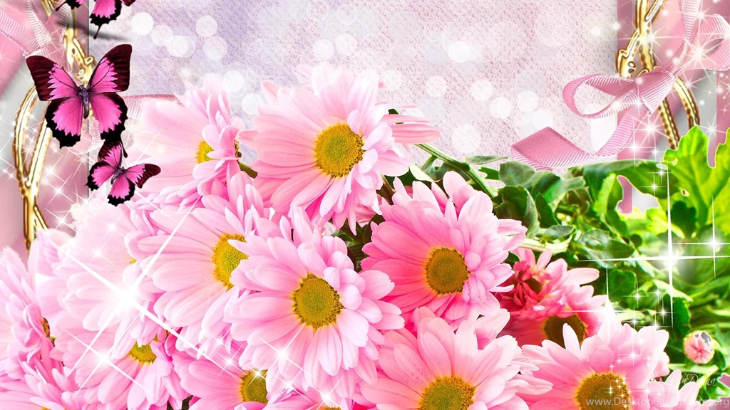CHRYSANTHEMUMS AND BUTTERFLIES WALLPAPER (