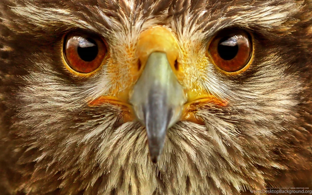 21 Magnificent High Resolution Wallpapers