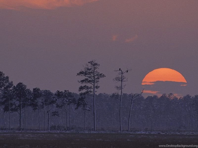 Refuge Watch » Wallpapers