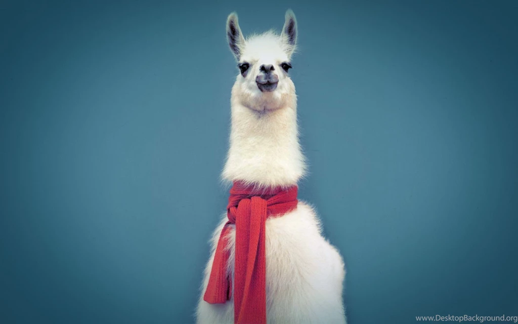 Llama Computer Wallpapers, Desktop Backgrounds