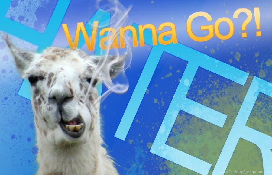 Llama Backgrounds 2.4 By Loganfayle On DeviantArt