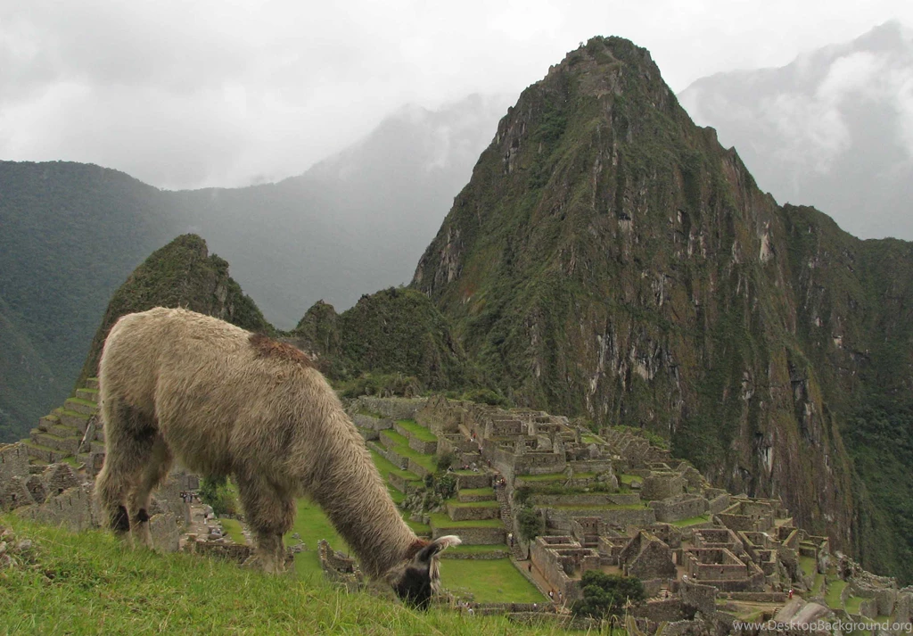 Inca Civilization Of Peru South America