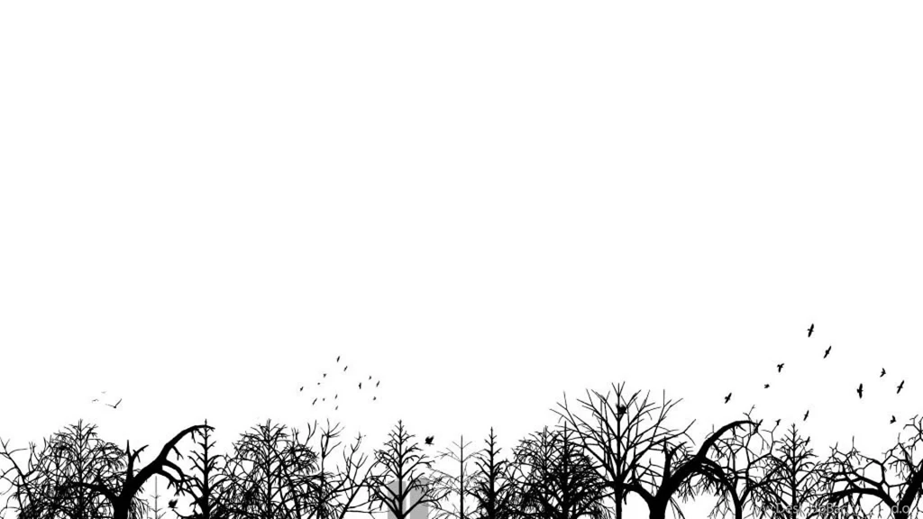 Black And White Colour Wallpapers Au   MF