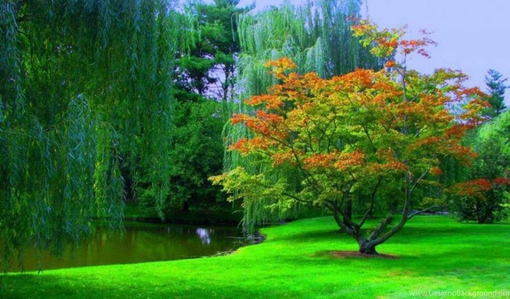 Best Widescreen Wallpapers
