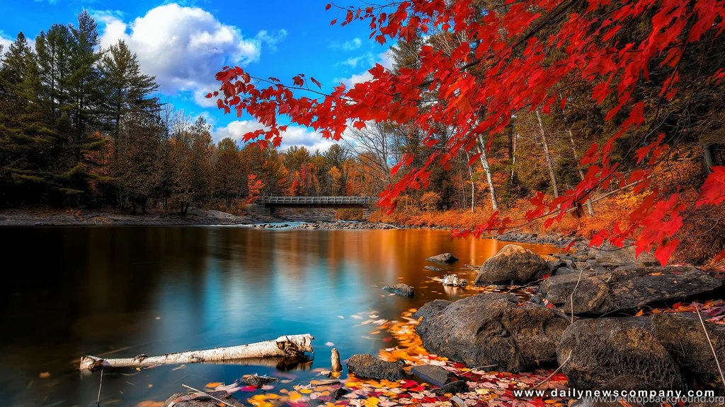 Best_desktop _wallpaper _hd_ latest.jpg