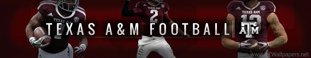 I Made A Wallpapers For Triple Monitor Ags! : Aggies