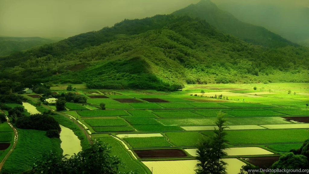 1920x1080px Green Mountain Nature Picture