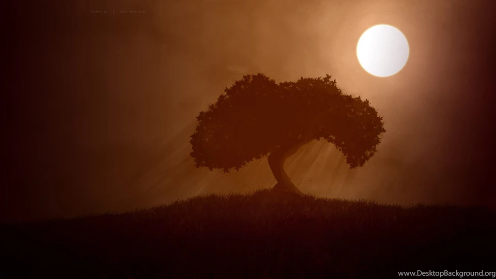 Minimalist, Nature, Background, Wallpaper, Photography, Photos ...