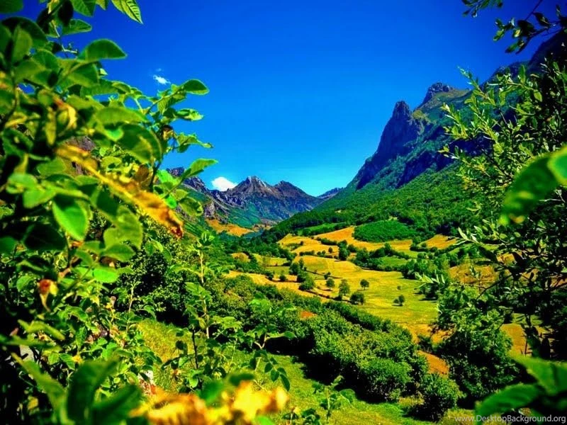 Green Mountain Wallpapers