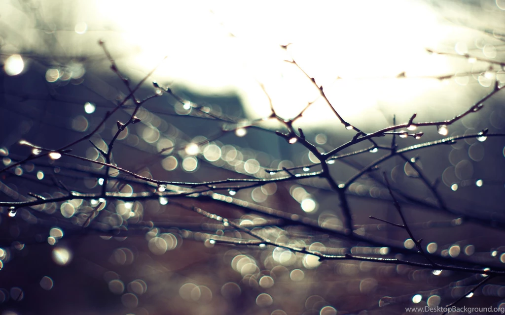Water Drop Computer Wallpapers, Desktop Backgrounds