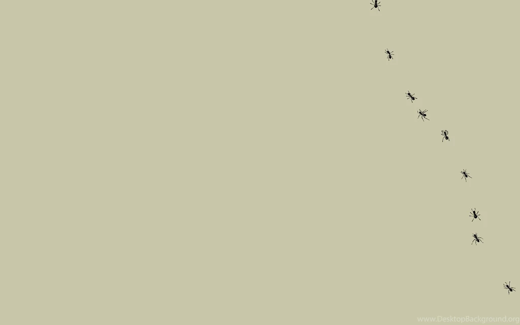 Simple And Minimalist