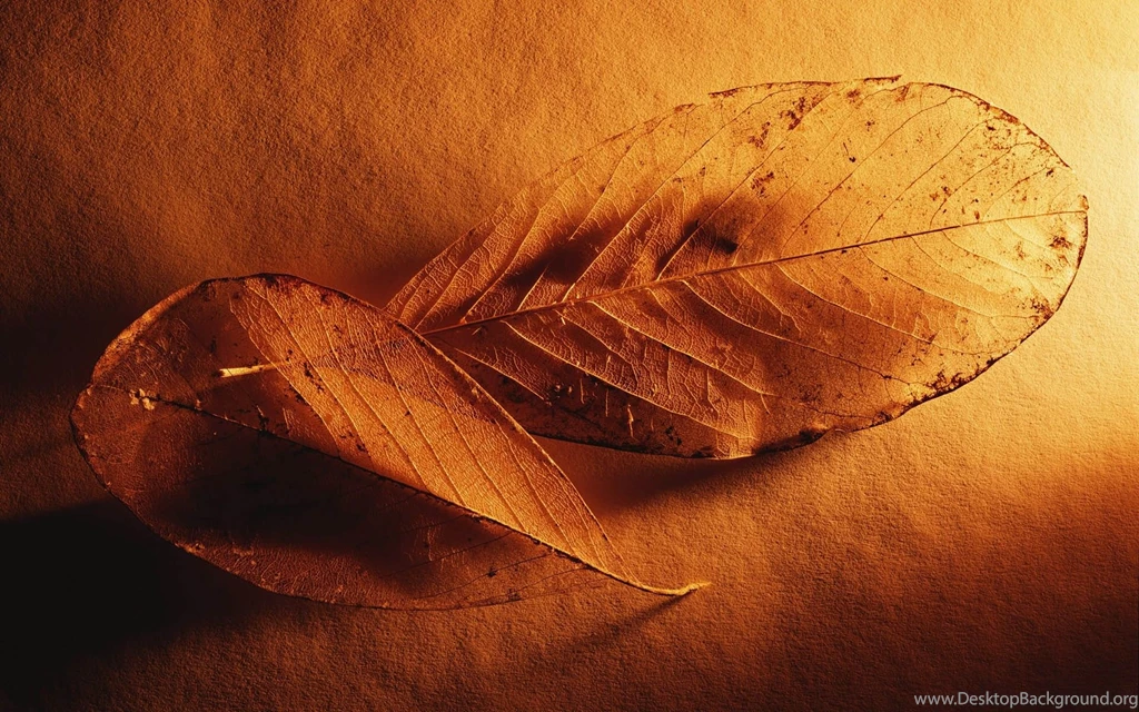 Photography Wallpapers — Free Full HD Wallpaper. Widescreen HQ ...