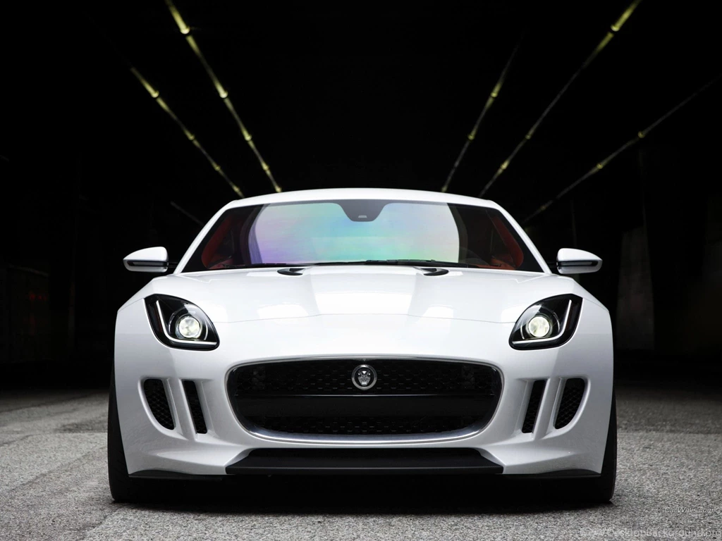 Jaguar Animal HD Wallpapers