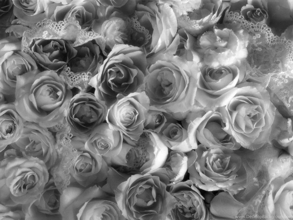 Black And White Rose Bridal Bouquet Wallpapers : Flowers. Rose ...