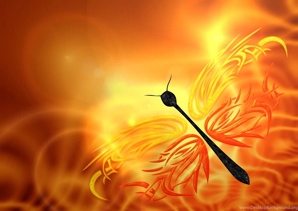 45 Stunning Butterfly Wallpapers Collection