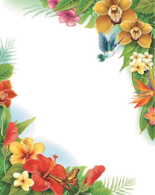 Beautiful Flowers And Butterflies Vector Backgrounds 04   Vector ...