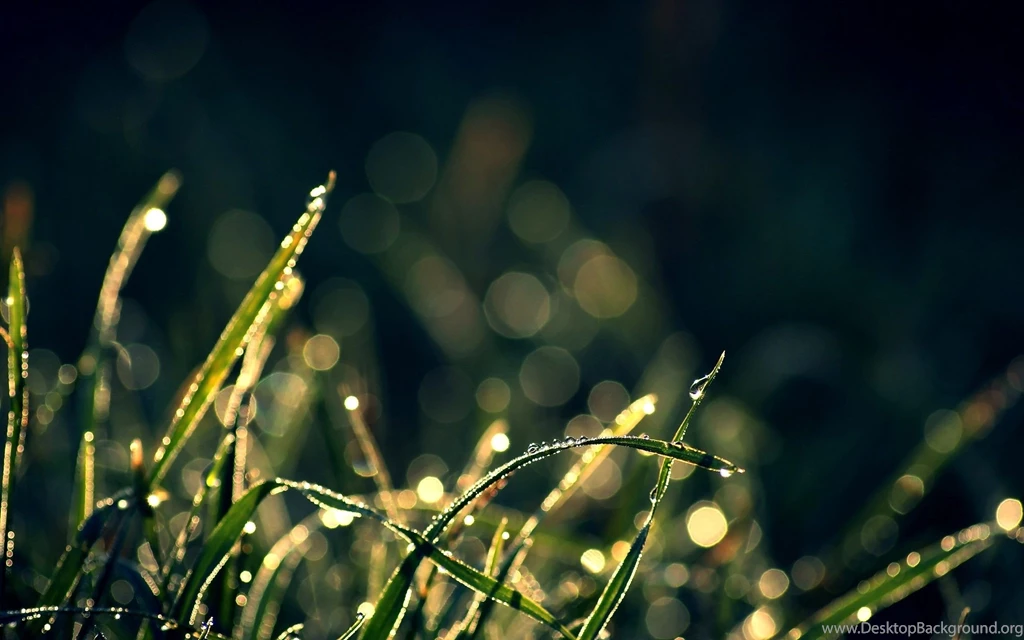 2560 X 1600 Wallpapers   Page 9