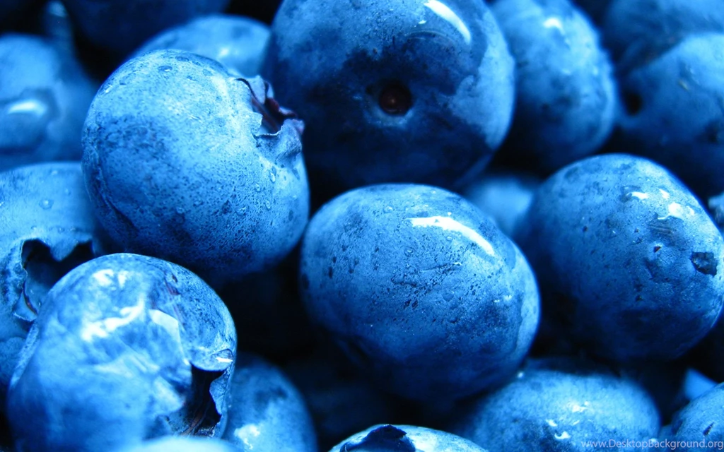 Fresh Blueberry Wallpapers Themes
