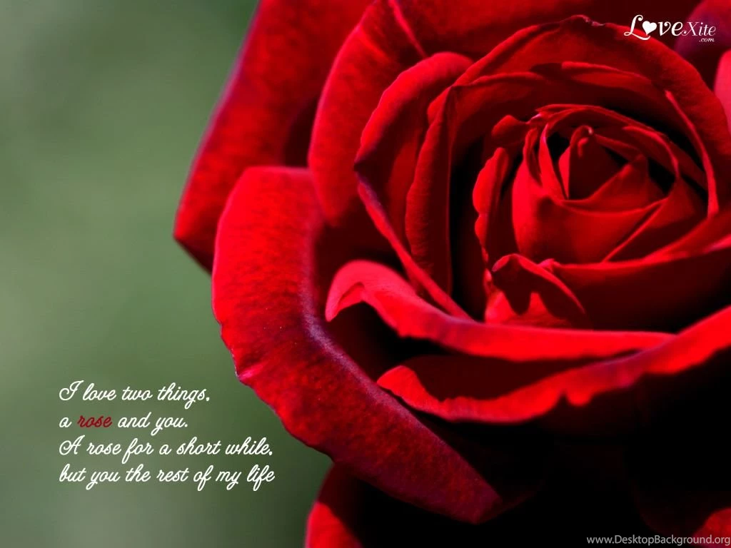 Beautiful Love Wallpapers HD Wallpapers Lovely
