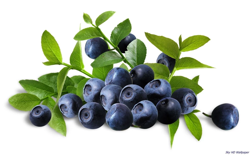 Blueberry HD Wallpapers