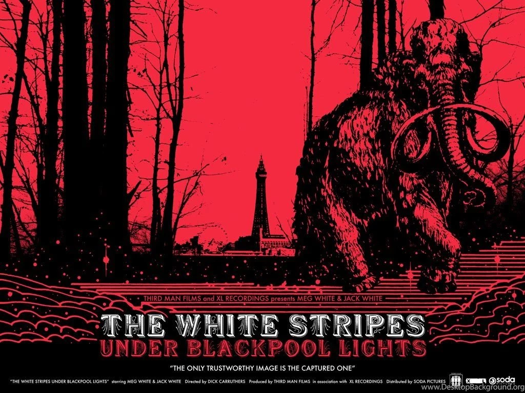 My Free Wallpapers Music Wallpapers : The White Stripes