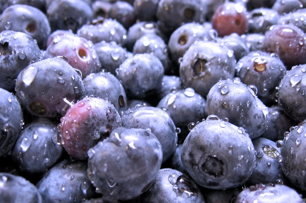 Water Drops Blueberry