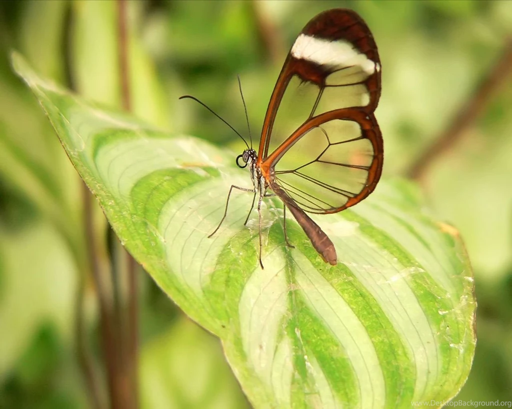 Best Wallpapers Site 10797 HD Wallpapers