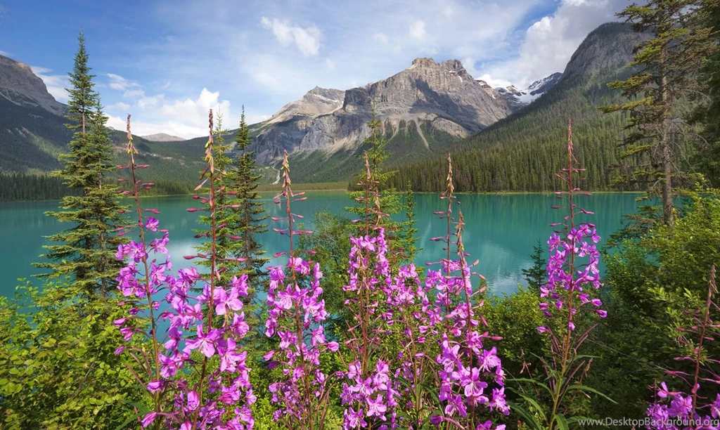 View, Widescreen, Wallpapers Of Nature, Windows Wallpaper, Free ...