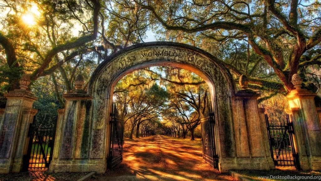 Wormsloe Historic Site Wallpapers   World Wallpapers