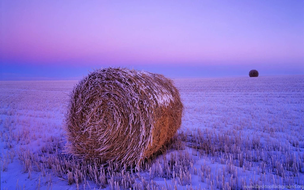 Nature Wallpapers Newest Wallpapers