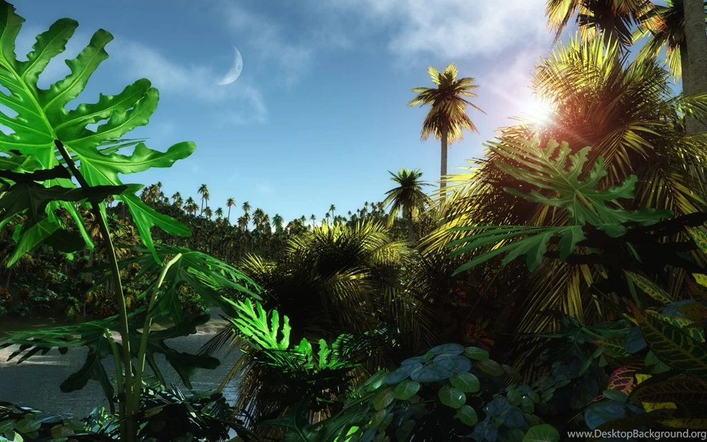 High Resolution, Newest, Trees, Nature, Filter, 1920x1200 HD ...