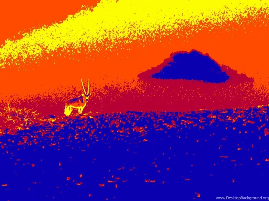 Namibia – Beesquared