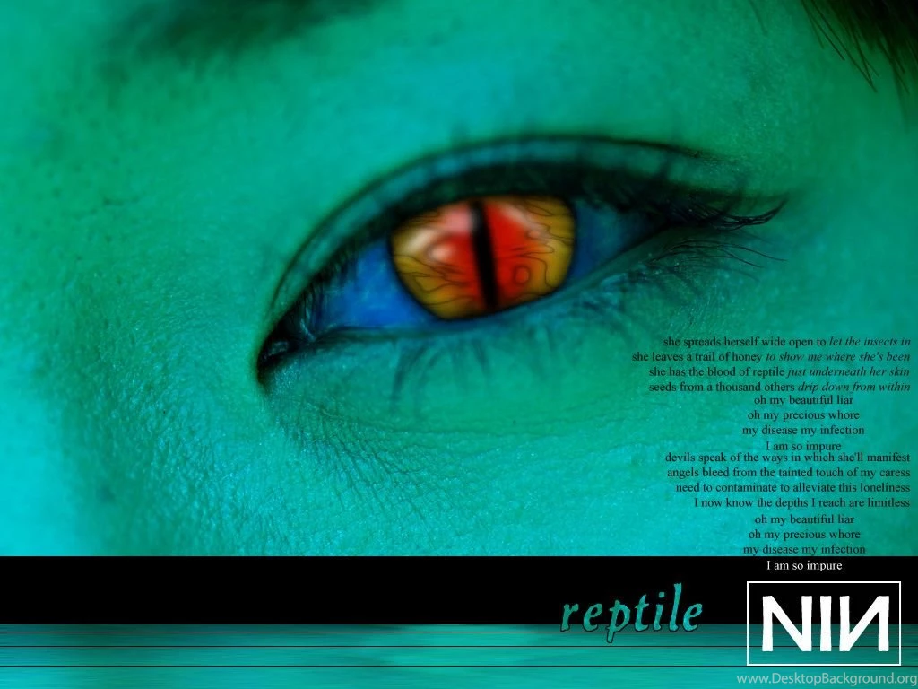 Reptile   NIN Wallpapers By Trebane On DeviantArt
