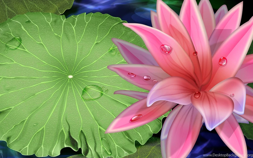 1920x1200 Pink Lily Desktop PC And Mac Wallpapers