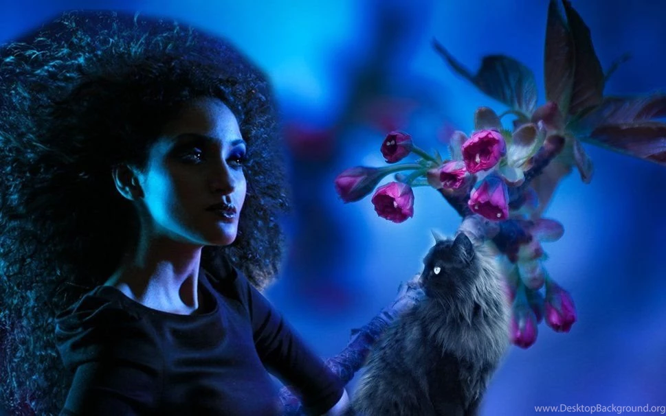 FunnyDAM   Funny Images, Pictures, Photos, Pics, GIFs And Funny