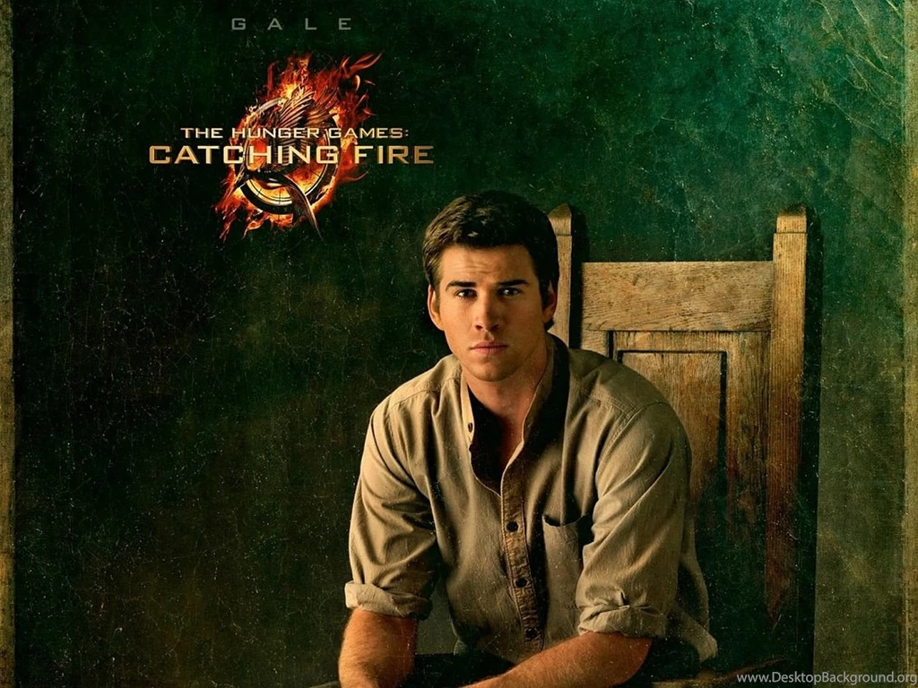 The Hunger Games: Catching Fire Computer Wallpapers, Desktop ...
