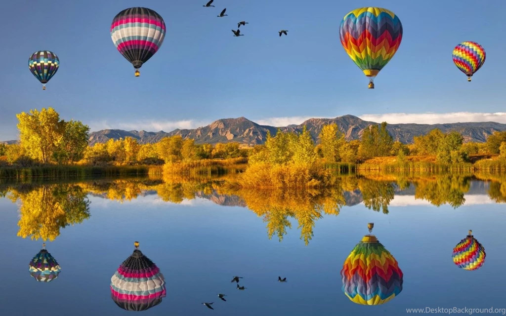 Wonderful Pictures