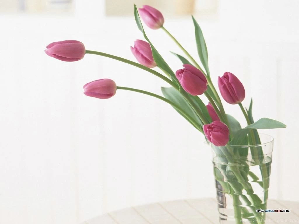 Flower Photography Flower Art Floral Design30 Wallcoo.net
