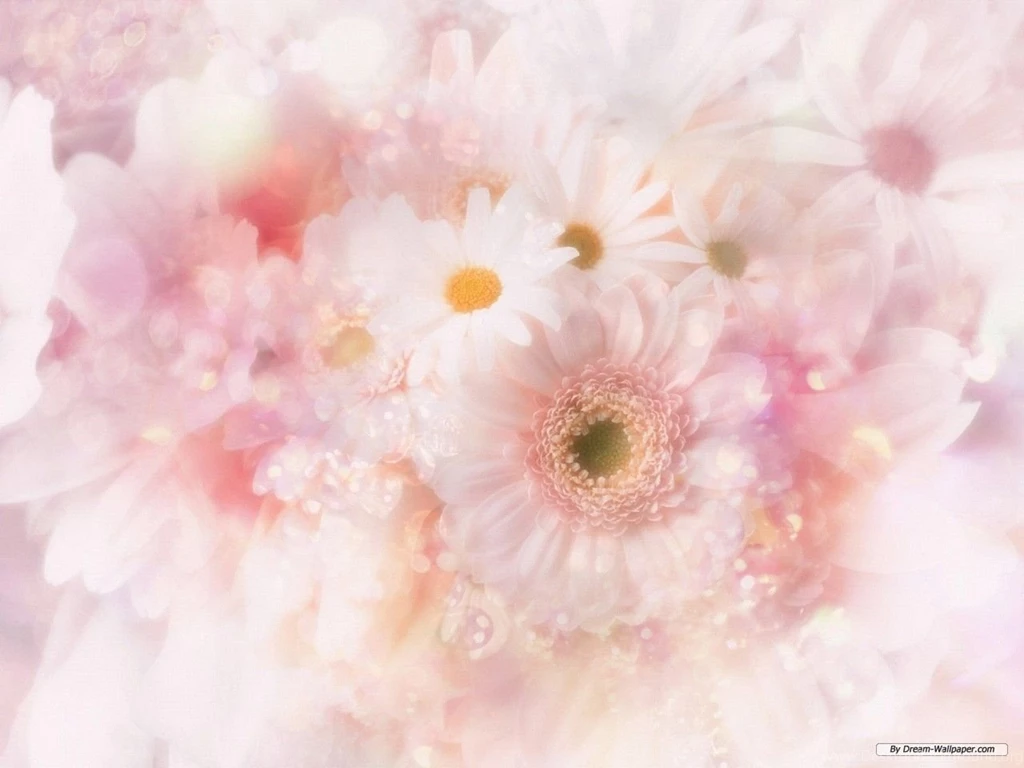Free Wallpapers Free Art Wallpapers CG Flower 1 Wallpapers ...