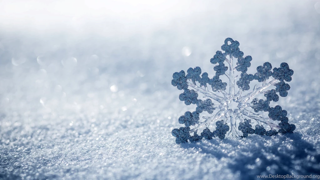Nature Snow Winter Snowflake Christmas Bokeh Wallpapers