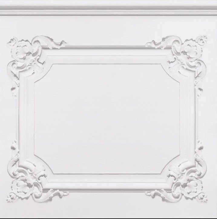 Louis xv vintage white paneling wallpaper.jpg