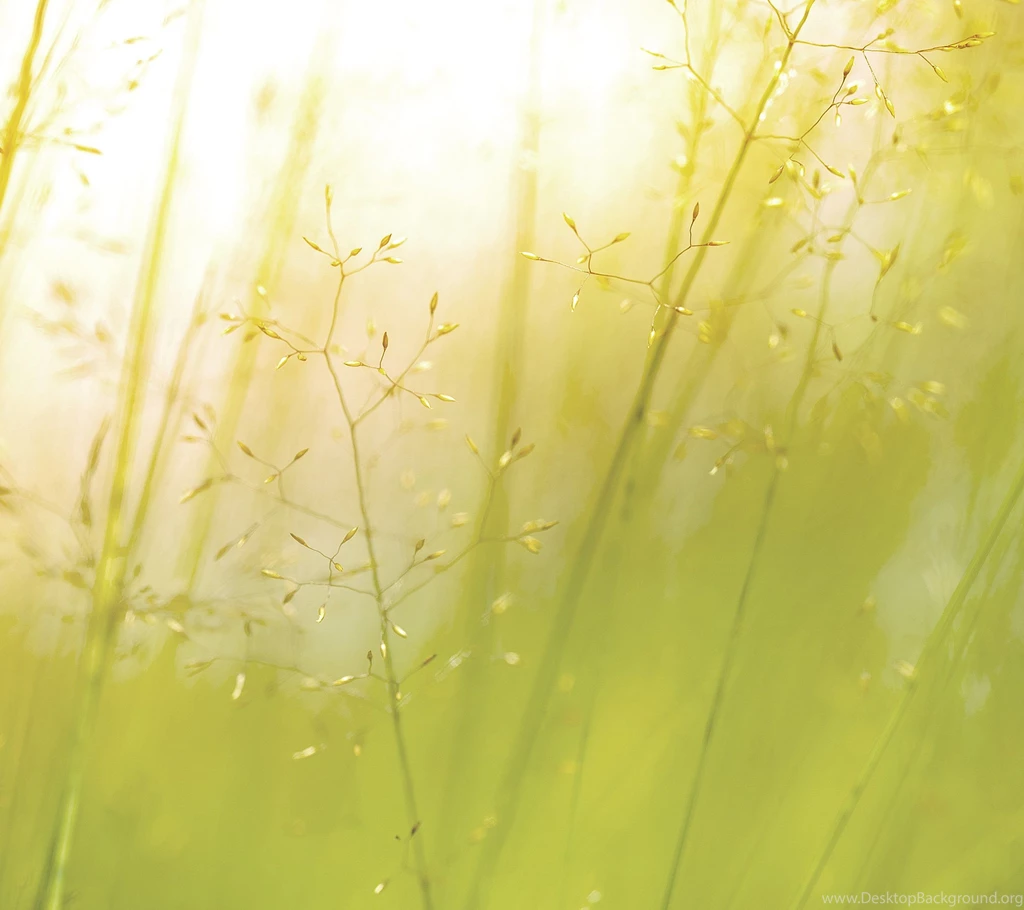 Download LG G3 Stock Wallpapers In HD